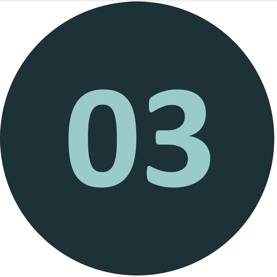 icon1