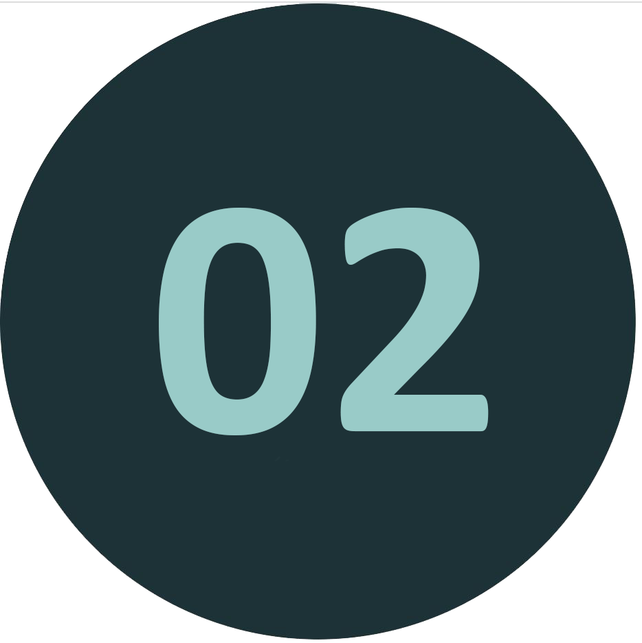 icon1