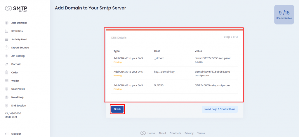 3. Copy the DNS details