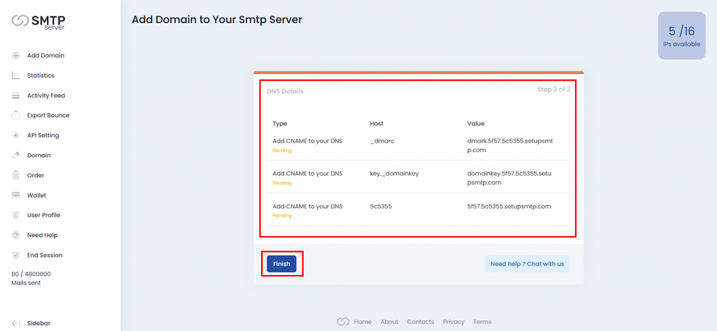 3. Copy the DNS details