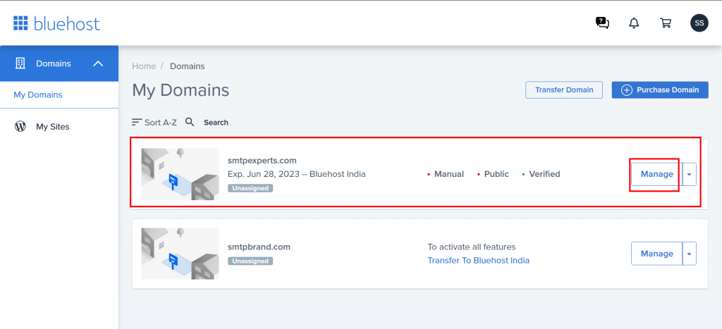 6. Click on Manage beside domain name